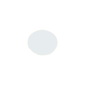 216441