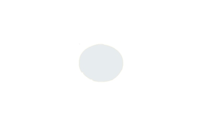 216441