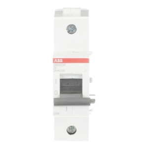 2CCS800900R0191