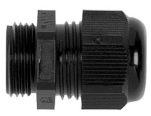 A5E34457564