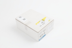 G9SX-AD322-T15-RTDC24