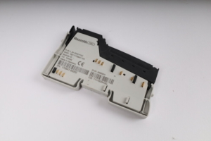 R-IB_IL_24_SEG-PAC