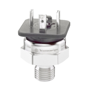 XMLP025BC21V