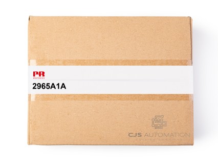 PR Electronics - 2965A1A
